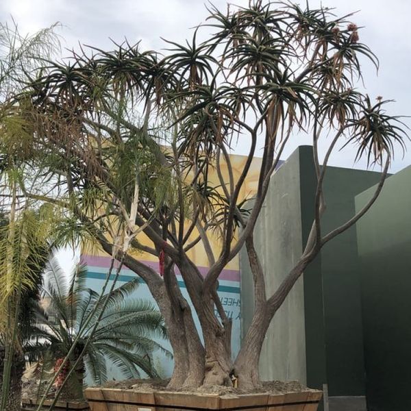 The Landscape Center