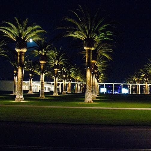 Palm Court Great Park