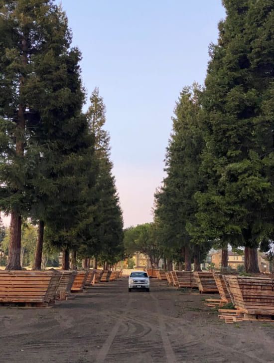 The Landscape Center