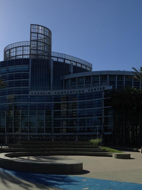 Palm Transplanting Grand Plaza Anaheim Convention Center Anaheim Ca