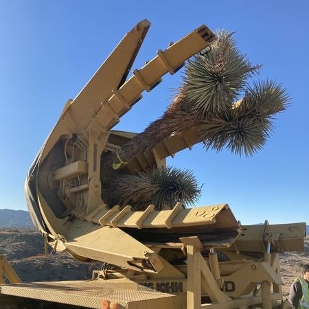 tree spade transplanter