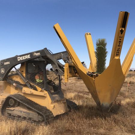 The Landscape Center - Joshua Trees